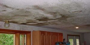 Mold Growth On Ceiling After Upstairs Flood