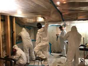 Mold Experts at Work in a Home Attic