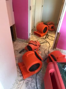 Drying and Dehumidifying a Property During the Mold Removal Process